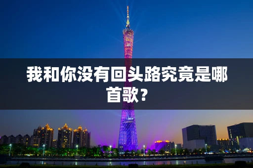 我和你没有回头路究竟是哪首歌？
