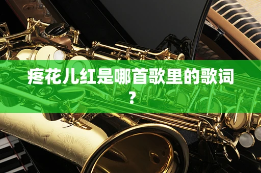 疼花儿红是哪首歌里的歌词？