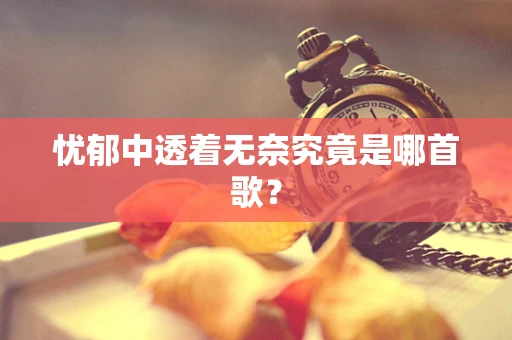 忧郁中透着无奈究竟是哪首歌？