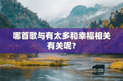 哪首歌与有太多和幸福相关有关呢？