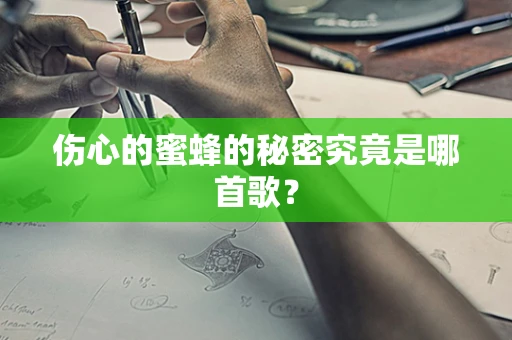 伤心的蜜蜂的秘密究竟是哪首歌？