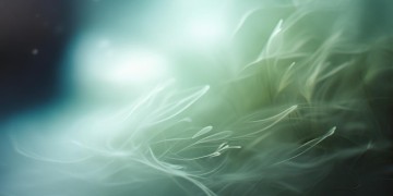 我心中隐隐的期许出自哪首歌？