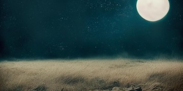 爱情如同战场究竟是哪首歌？