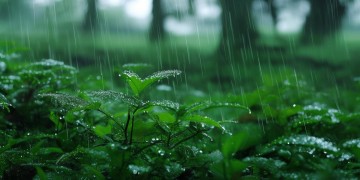 多雨的季节更想你究竟是哪首歌？