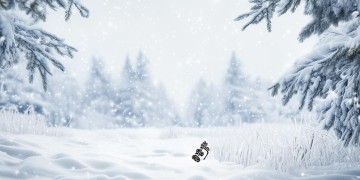藏在冬天的雪花究竟是哪首歌？