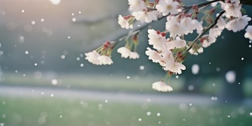 这份爱是宿命是注定究竟是哪首歌？