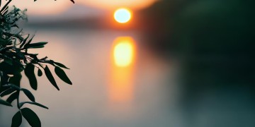 一年过得匆匆续续究竟是哪首歌？