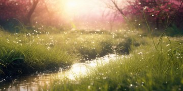 那是春雨里洗过的太阳究竟出自哪首歌？