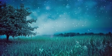 有你的夜晚很孤单究竟是哪首歌？