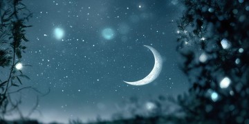 迎着月亮披着星究竟是哪首歌？