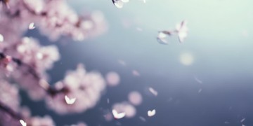 你的离开无法阻挡到底是哪首歌？