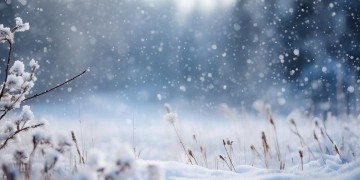 雪歌出现在哪些电视剧里？