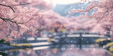 韩剧中的歌都有哪些呢？