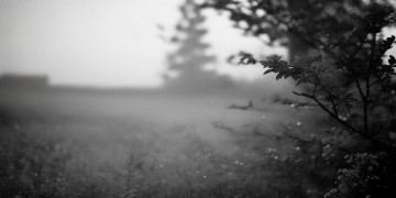 风里雨里我在这里等你究竟是哪首歌？