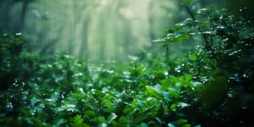 所有风里雨里出自哪首歌？